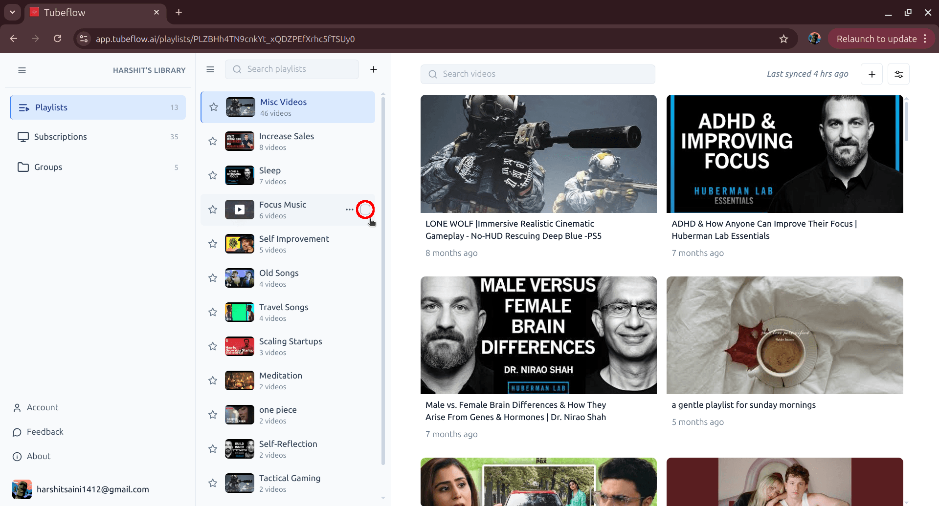 TubeFlow Playlists view in the left sidebar